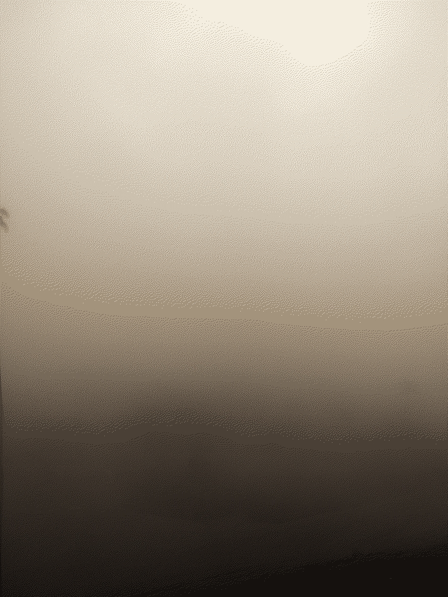 Niebla en el Valle de Cocora
