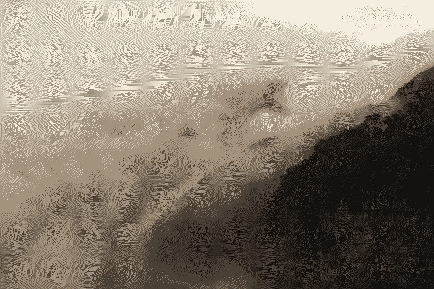 Bosque de niebla cerca del Salto del Tequendama